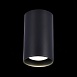 Светильник потолочный Черный LED 1*20W 3000K 1 600Lm Ra>90 60° IP44 D95xH150 220-265V ST157.432.20 - фото