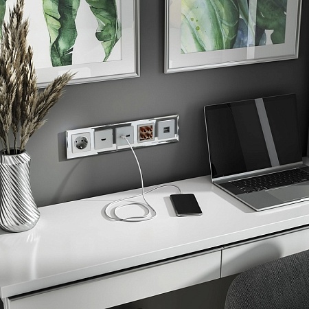 Розетка Ethernet RJ-45 (серебряный) W1181006 - фото