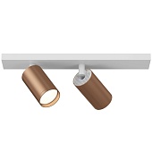 Потолочный светильник (набор) Technical FOCUS S C051CL-2WC