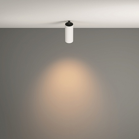 Потолочный светильник Technical FOCUS LED C053CL-L12W3K-W-W - фото