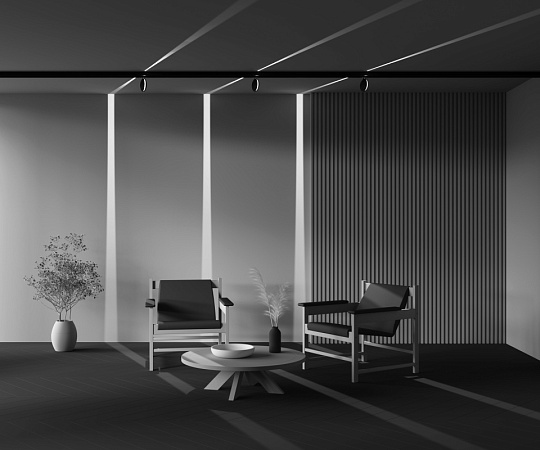 Трековый светильник Technical Outline TR090-4-6W-DS-B - фото