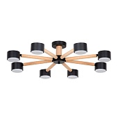 Потолочная люстра Arte Lamp TENDA A1624PL-8BK