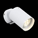 Спот ST-Luce Белый, Хром/Белый GU10 LED 1*3W SL597.501.01 - фото