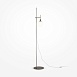 Напольный светильник (торшер) Maytoni Erich MOD221-FL-01-N - фото