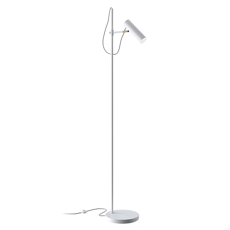 Напольный светильник (торшер) Maytoni Bansky MOD129FL-01W - фото