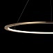 10014L Подвесной светильник LOFT IT Ring - фото
