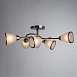 Потолочная люстра ARTE LAMP A6059PL-6AB - фото