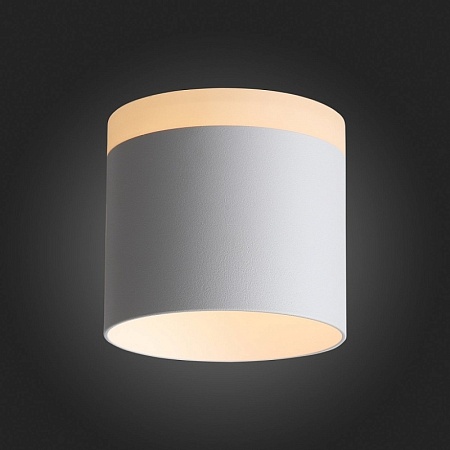 Светильник потолочный Белый LED 1*12W 3000K 936Lm Ra>80 120° IP20 D100xH90 170-240V ST102.502.12 - фото