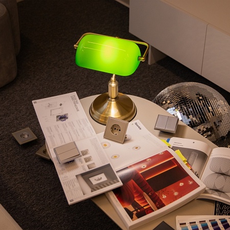 Настольный светильник Maytoni Kiwi Z153-TL-01-BS - фото