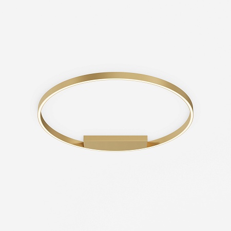 Потолочный светильник Maytoni Rim MOD058CL-L50BSK - фото