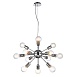 Подвесная люстра ARTE LAMP A9265SP-12CC - фото