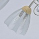 Люстра  мечта MW-Light  297013508 - фото