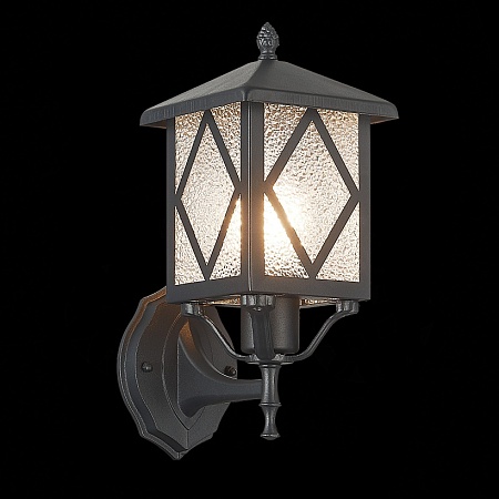 Светильник уличный настенный ST-Luce Черный/Черный, Прозрачный E27 1*60W SL084.401.01 - фото