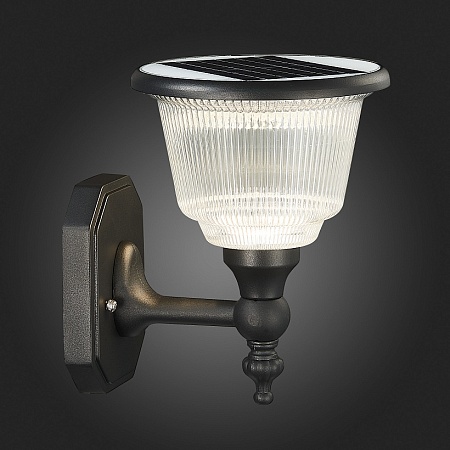 Светильник уличный настенный ST-Luce Черный/Черный, Прозрачный LED 1*2W 3000-6000K SL9502.401.01 - фото
