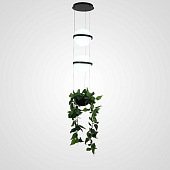 Подвесной Светильник Palma Wall Lamp 2 Шара + 1 Вазон Imperiumloft 168491-22