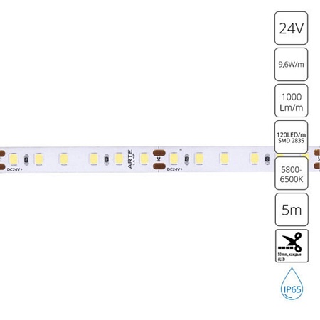 Светодиодная лента 24V 9,6W/m 6000К 5м Arte Lamp AQUA TAPE A2412008-06-6K - фото