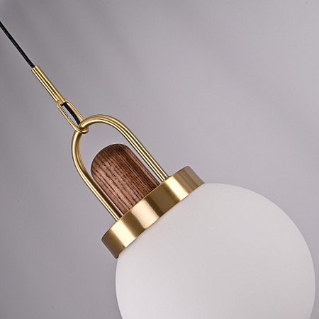 Подвесной Светильник Arc Globe Шар D20 Imperiumloft 191841-26 - фото