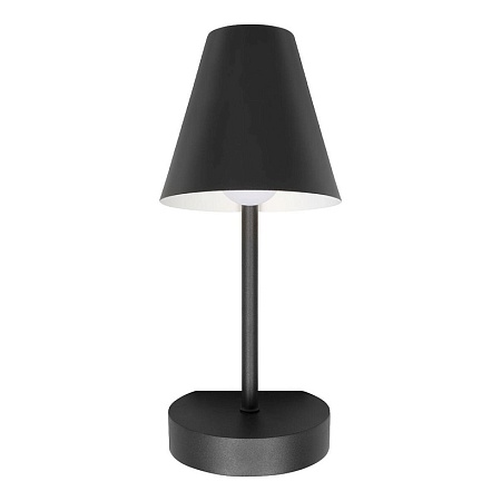 10216/1W Black Настенный светильник LOFT IT Shelf - фото