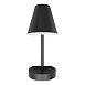 10216/1W Black Настенный светильник LOFT IT Shelf - фото
