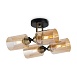 Люстра Freya FR5129PL-04B - фото
