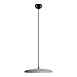 10119 Grey Подвесной светильник LOFT IT Plato - фото