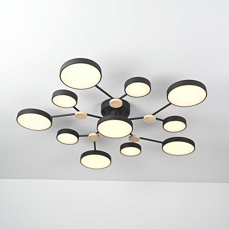 Потолочная Люстра Gamma D102 Black Imperiumloft 223770-23 - фото