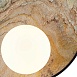 Бра Favourite 4594-1W - фото