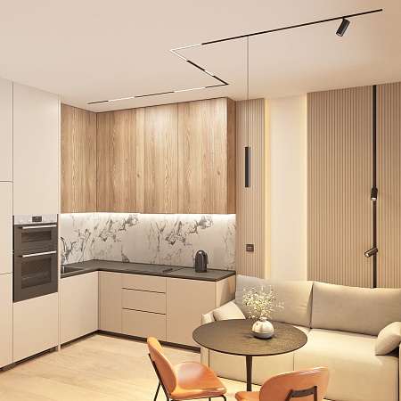 Трековый светильник Denkirs DK7405-BK - фото