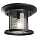 Светильник садово-парковый Feron PL723 на потолок  60W E27 230V, черный - фото