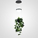 Подвесной Светильник Palma Wall Lamp Шар + Вазон Imperiumloft 168489-22 - фото