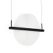 Светильник подвесной ST-Luce Черный/Прозрачный LED 1*15W 4000K SL6233.403.15 - фото
