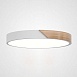 Потолочный Светильник Clip White D40 Imperiumloft 193048-26 - фото