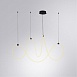 Подвесной светильник Arte Lamp KLIMT A2850SP-80BK - фото