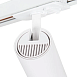 Светодиодная лампа ARTE LAMP A1935PL-1WH - фото
