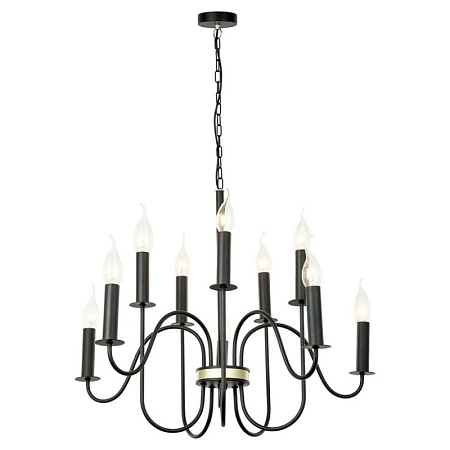 Люстра Lussole ROOSEVELT LSP-8198 - фото