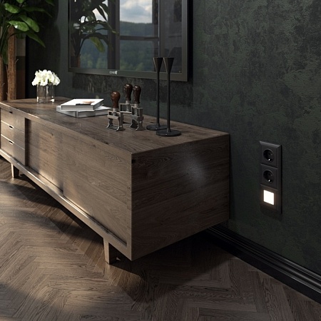 Розетка с заземлением, безвинтовой зажим черный матовый WL08-10-01 - фото