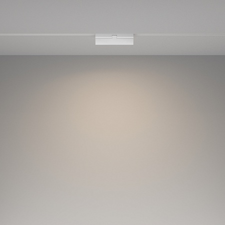 Трековый светильник Technical Basis Rot TR036-2-12W4K-W - фото