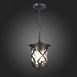 Светильник уличный подвесной ST-Luce Черный/Черный, Прозрачный E27 1*60W SL085.403.01 - фото