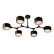 Светильник потолочный Черный/Черный E14 6*60W SLE183402-06 - фото