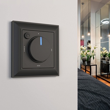 Рамка на 1 пост (черный матовый) W0012208 - фото