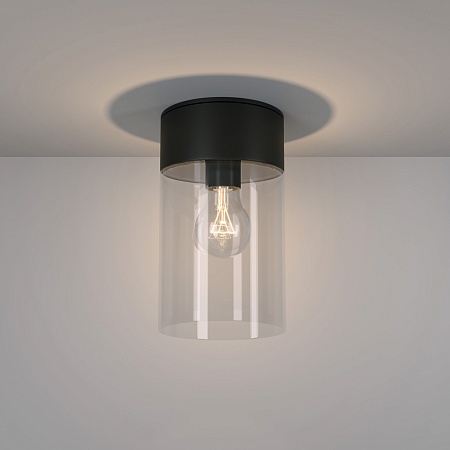 Уличный потолочный светильник 35085/F черный Elektrostandard - фото