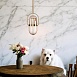 Подвесной Светильник Tend Imperiumloft 141066-26 - фото