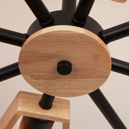 Потолочный светильник Eurosvet 70056/8 черный - фото