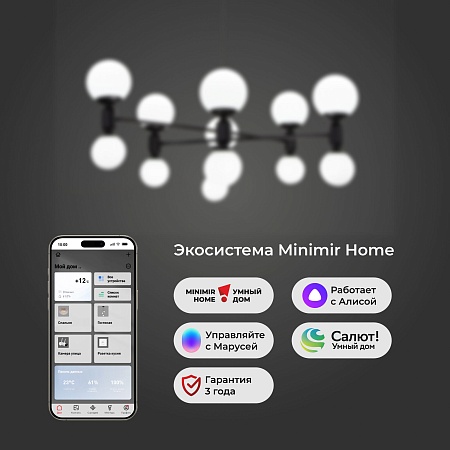 Потолочный светильник Eurosvet 30182 черный - фото