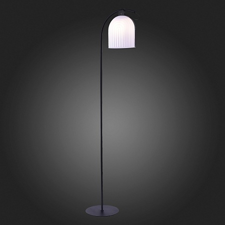 Торшер ST-Luce Черный/Белый E27 LED 1*7W SL1302.405.01 - фото