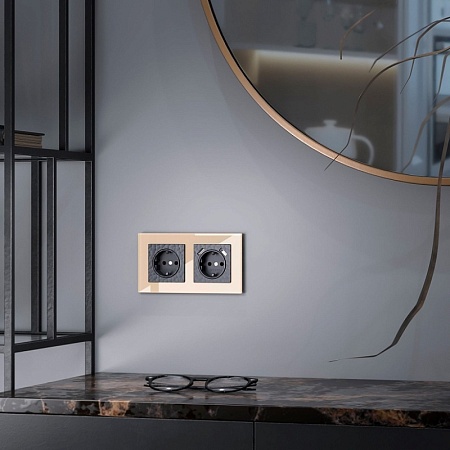 Розетка с заземлением и шторками черный W1271108 - фото