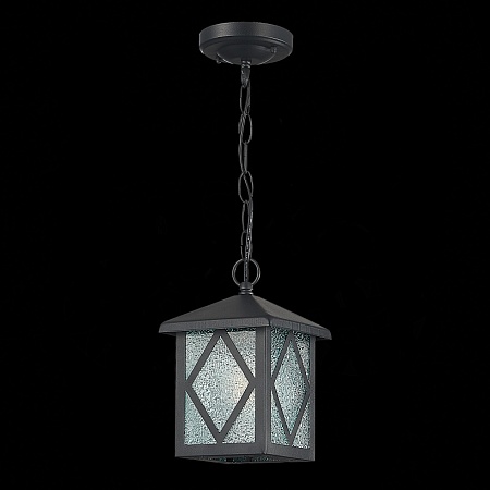 Светильник уличный подвесной ST-Luce Черный/Черный, Прозрачный E27 1*60W SL084.403.01 - фото
