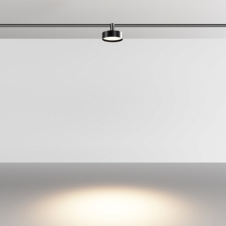 Трековый светильник Technical Zon TR204-1-12W3K-B - фото