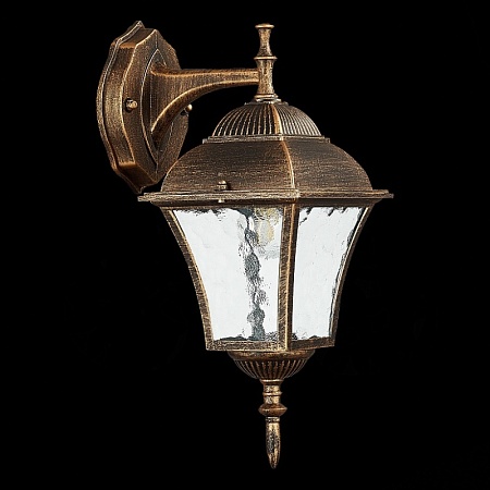 Светильник уличный настенный ST-Luce Бронза/Бронза, Прозрачный E27 1*60W SL082.211.01 - фото