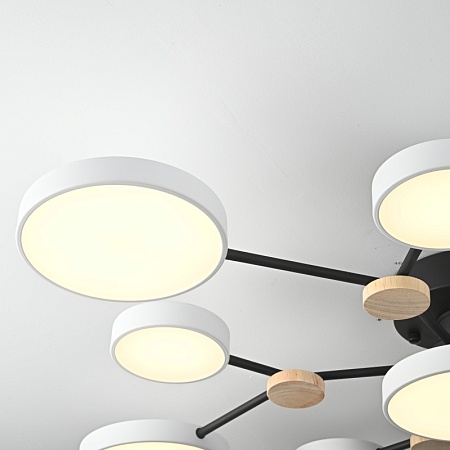 Потолочная Люстра Gamma D102 White Imperiumloft 223764-23 - фото